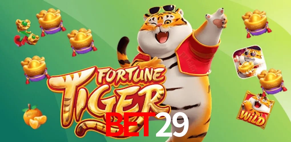 Experiência VIP bet29